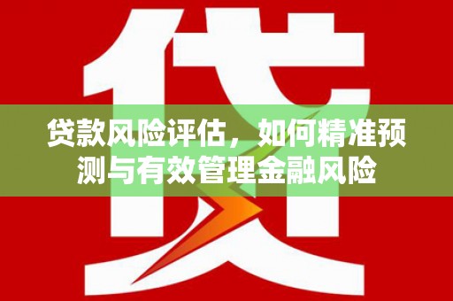 惠城贷款风险评估，如何精准预测与有效管理金融风险