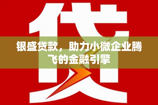 惠城银盛贷款，助力小微企业腾飞的金融引擎