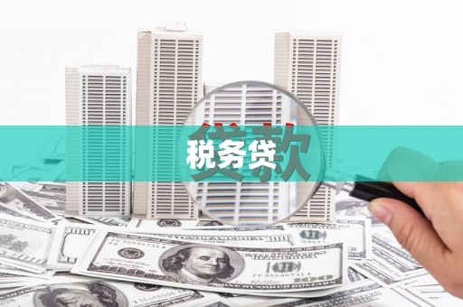 惠城税务贷