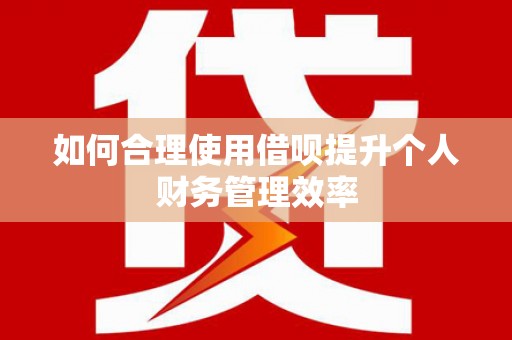 惠城如何合理使用借呗提升个人财务管理效率