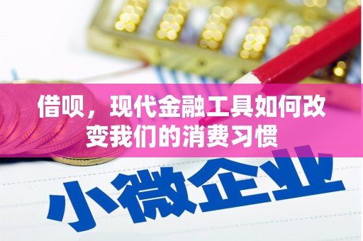 惠城借呗，现代金融工具如何改变我们的消费习惯