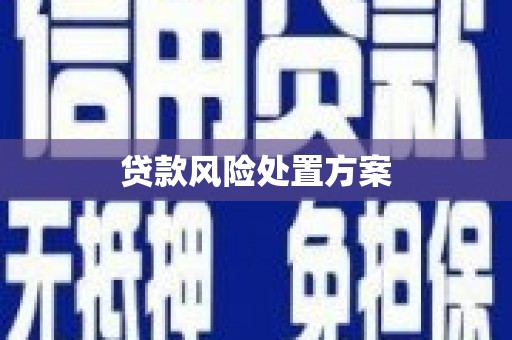 惠城贷款风险处置方案