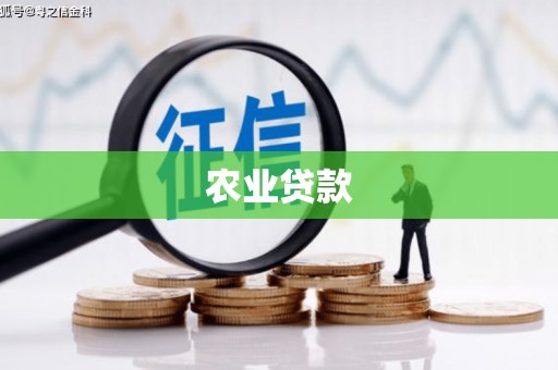 惠城农业贷款