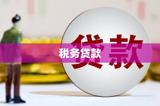 惠城税务贷款