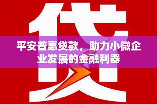 惠城平安普惠贷款，助力小微企业发展的金融利器