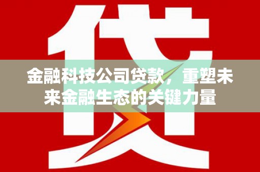 惠城金融科技公司贷款，重塑未来金融生态的关键力量