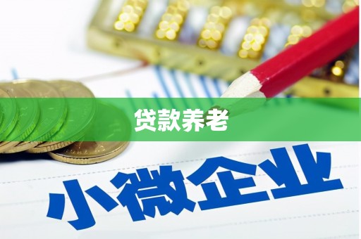 惠城贷款养老