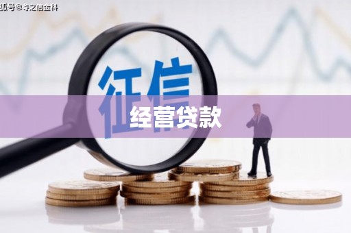 惠城经营贷款