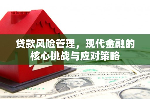 惠城贷款风险管理，现代金融的核心挑战与应对策略
