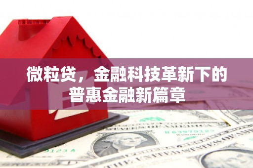 惠城微粒贷，金融科技革新下的普惠金融新篇章