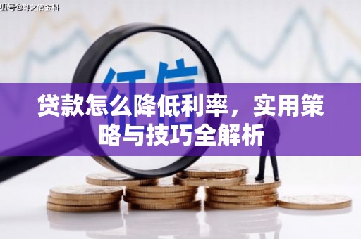 惠城贷款怎么降低利率，实用策略与技巧全解析