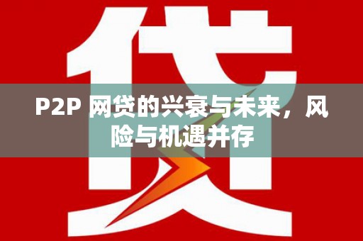 惠城P2P 网贷的兴衰与未来，风险与机遇并存