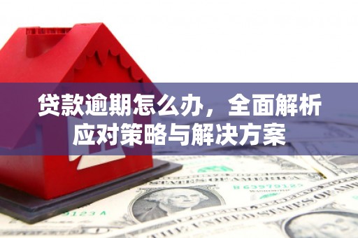 惠城贷款逾期怎么办，全面解析应对策略与解决方案