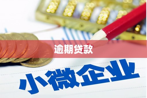 惠城逾期贷款